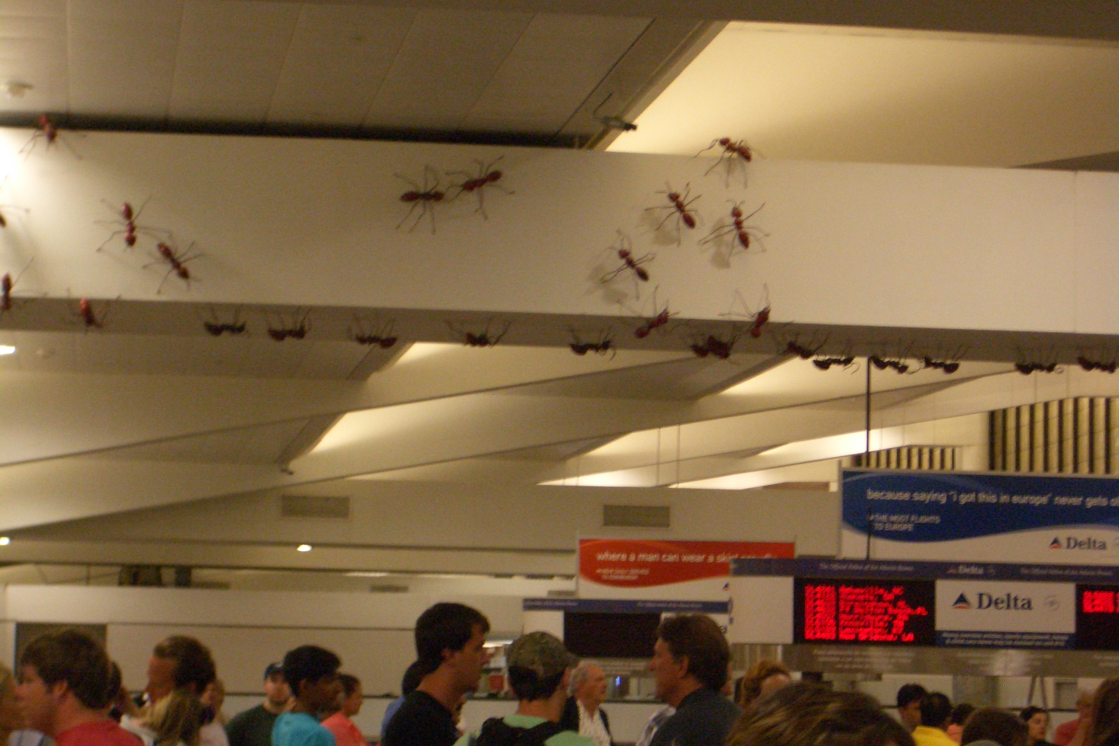 Atlanta ants